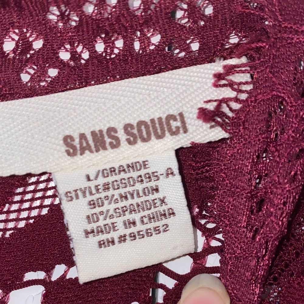 Sans Souci Burgundy Lace Mini Dress - Picture 3 of 4